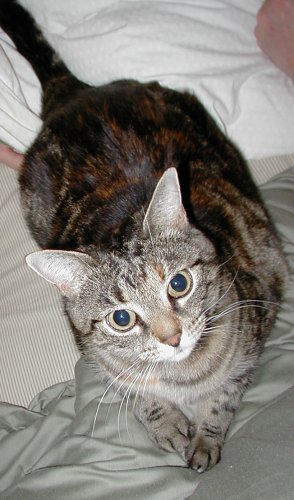Matilda (a  friend to Happy Rhodes)